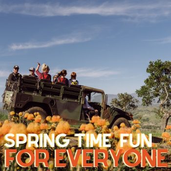 Spring Time Fun