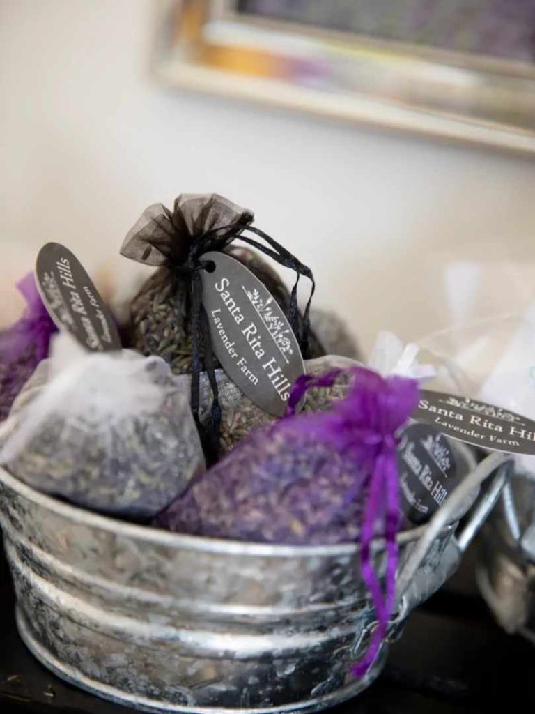 Scented Souvenirs: Sta. Rita Hills Lavender Farm