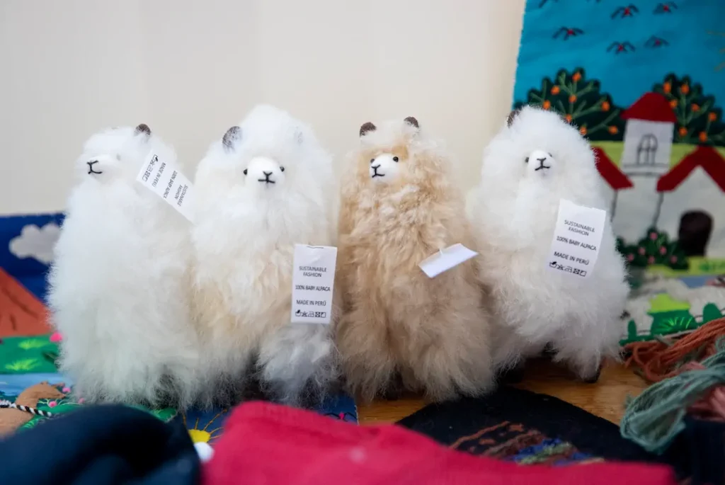 Coffee, Alpacas, and Country Air at Zaca Creek Ranch