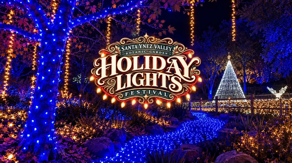 holiday lights 2026
