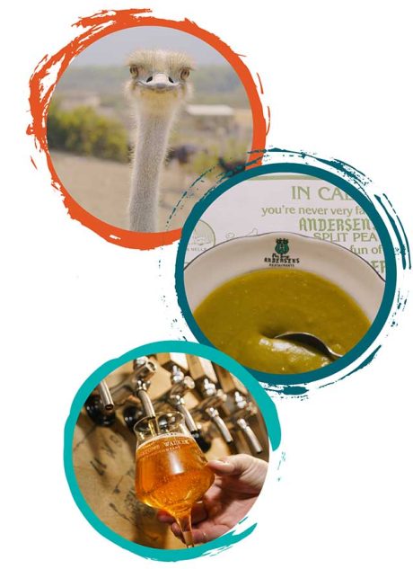 Discover Buellton Anywhere